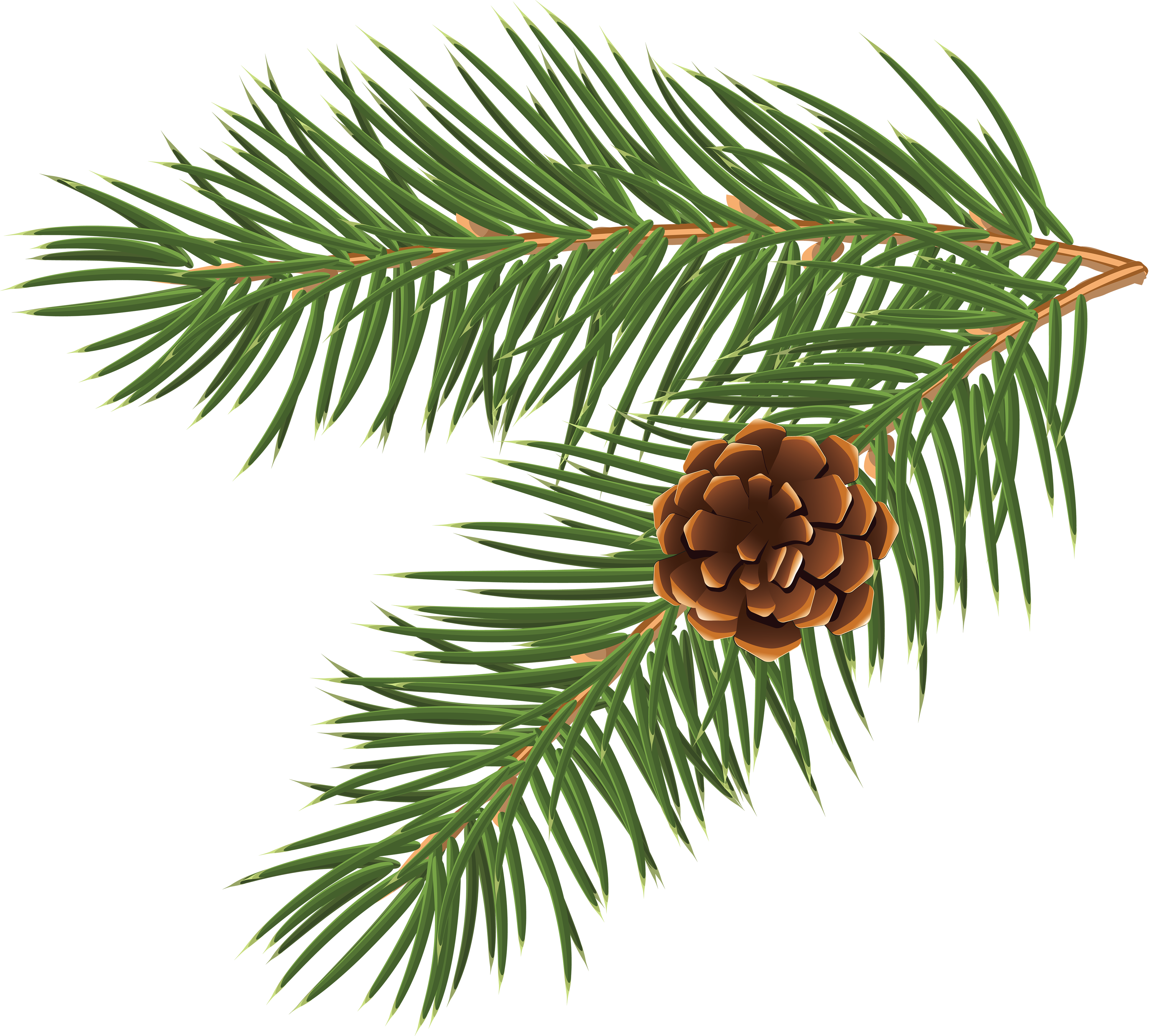 Pinus Taeda Conifer Cone Branch Tree Clip Art - Pine Tree Branch (3900x3515)