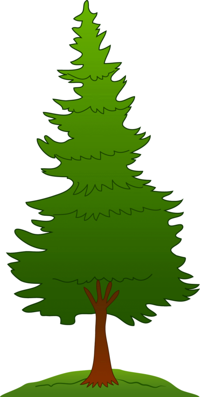 Pine Tree Clip Art - Clip Art Pine Tree (403x800)