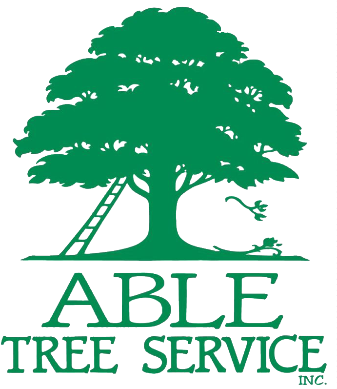 Able Tree Service - Able Tree Service (698x800)