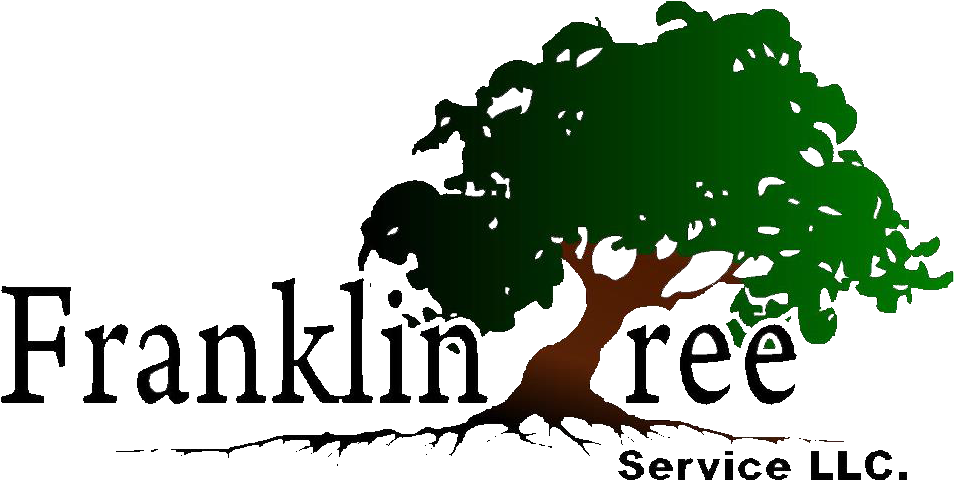 Franklin Tree Service Llc - Tree Service Logo (960x484)