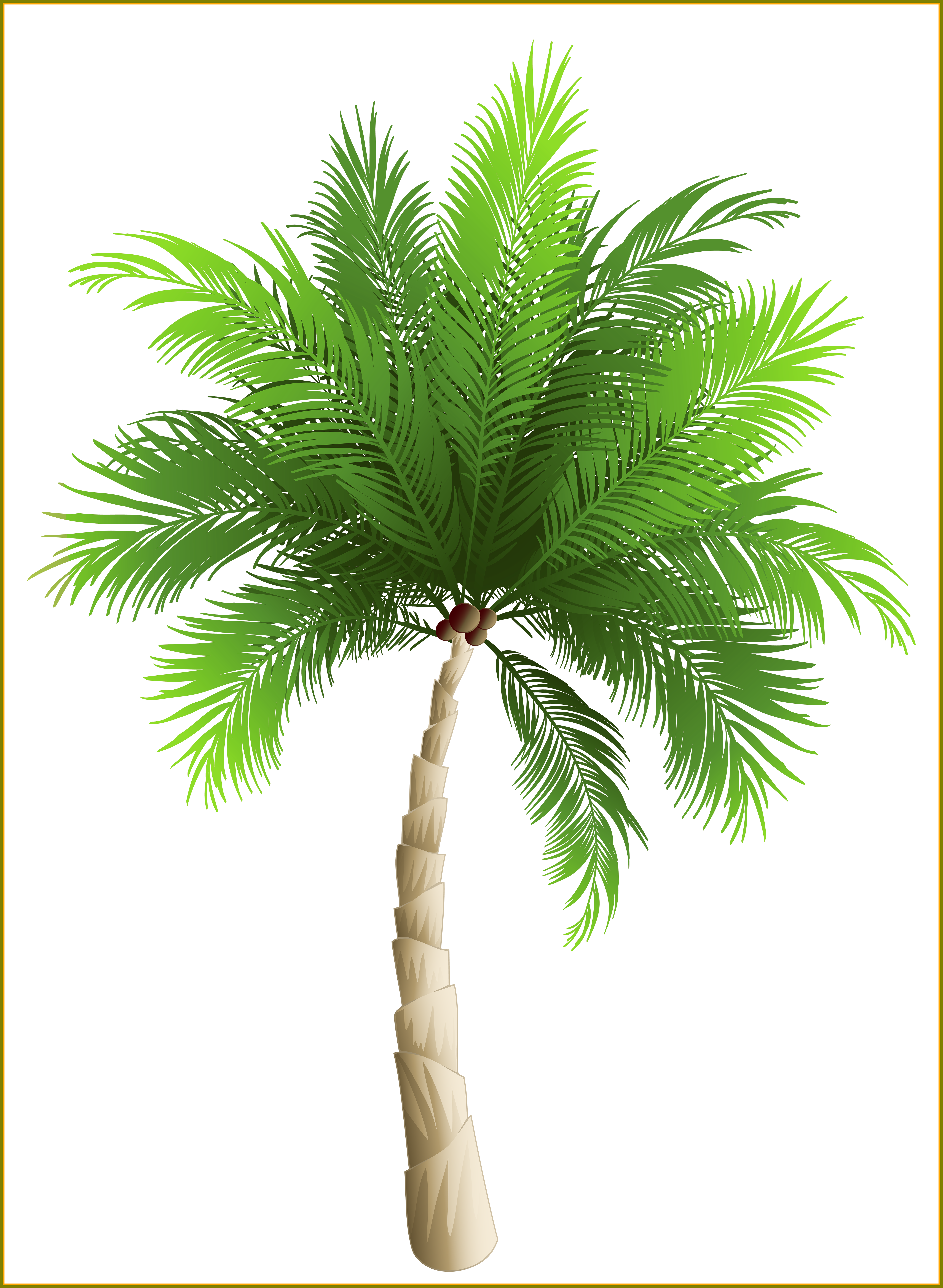 Coconut Tree Coconut Tree Png Hd Best Palm Tree Png - Palm Tree Png Transparent (5306x7249)