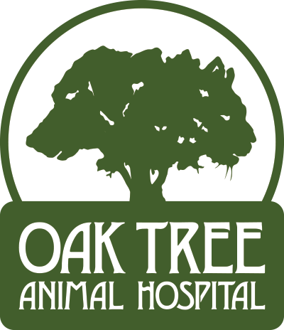 Oak Tree Animal Hospital - Music In The 1920's (400x464)