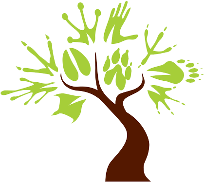 Wildlife Tree Logo - Wildlife Tree Logo (500x501)