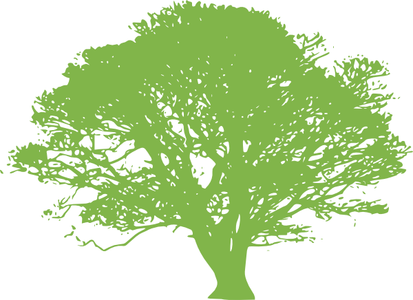 Green Tree - Oak Tree Clip Art Black And White (600x436)