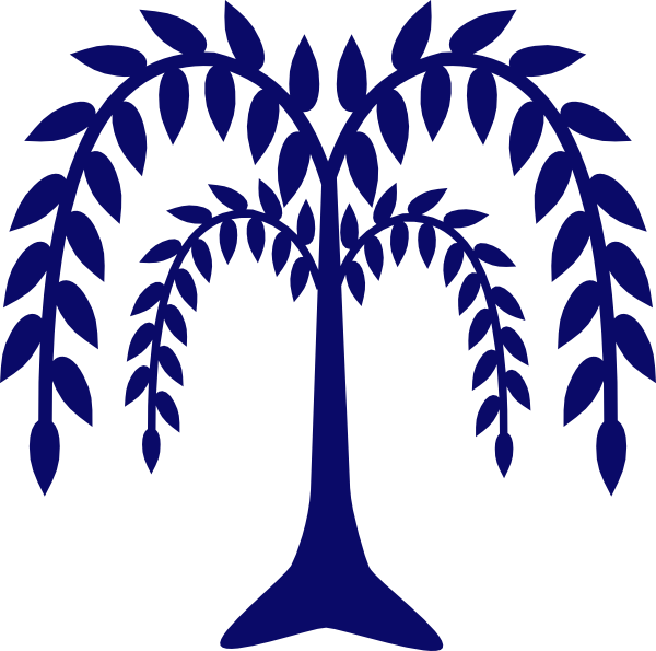 Willow Clip Art - Willow Tree Cartoon Transparent (600x595)
