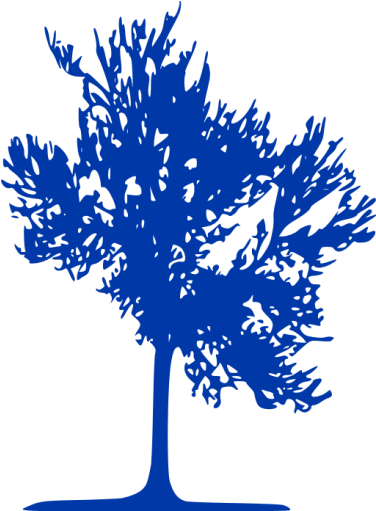 Black Tree Transparent Gif (512x512)