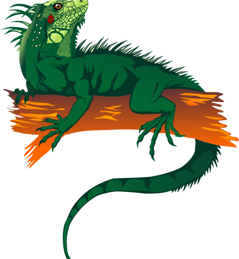 Iguana Clipart Iguanas Lokis Dream House Stuff Pinterest - Free Iguana Clipart (1024x1024)