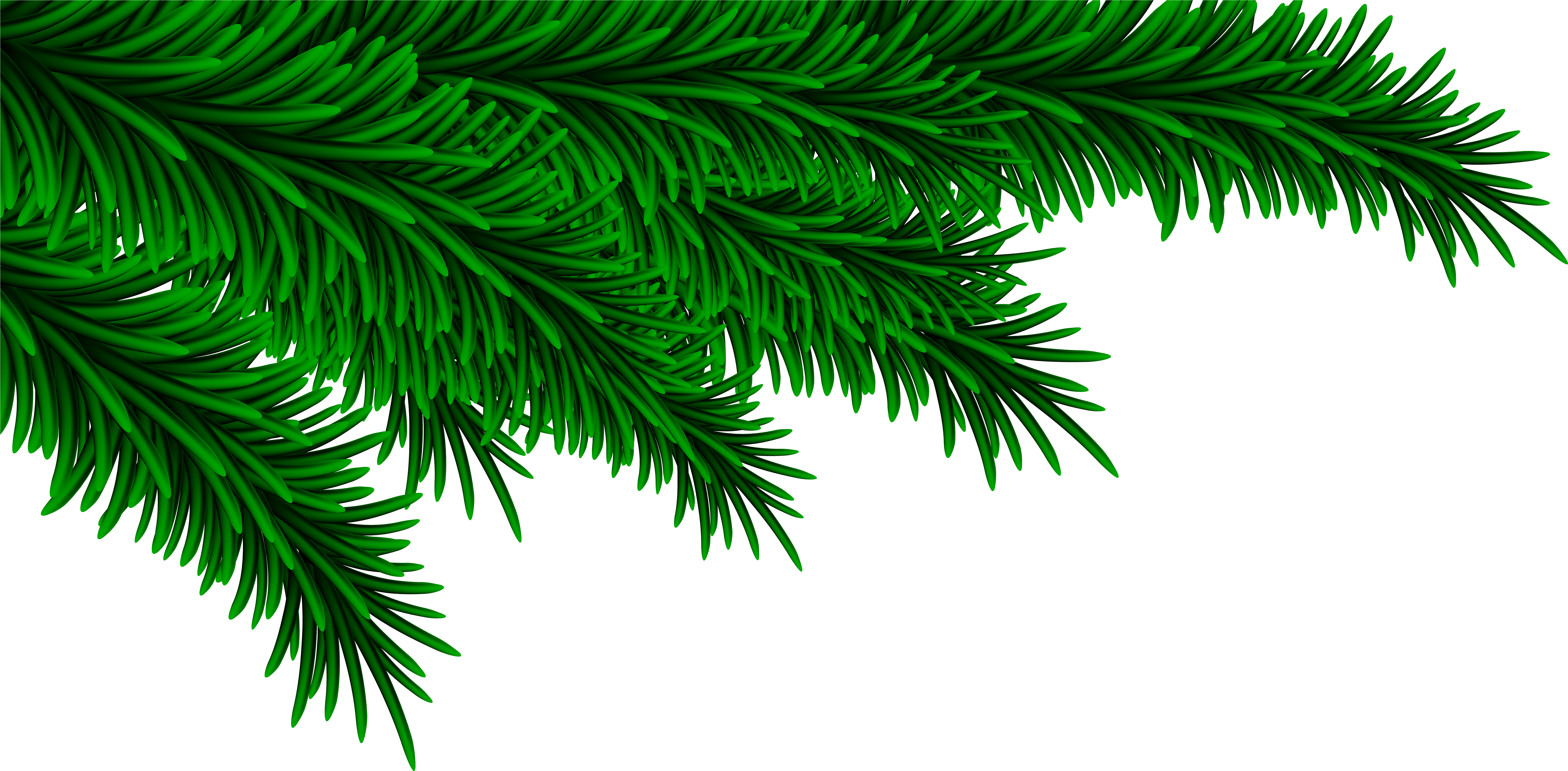Pine Clipart Transparent - Christmas Pine Decoration Png (8000x3954)