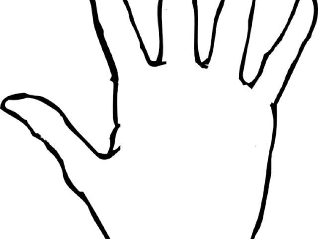 Fingers Clipart Back Hand - Vividbearhat Knit Owl Cable Fingerless Gloves. Sage (640x480)