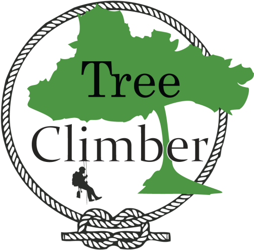 2016 European Touring Car Cup (512x512)