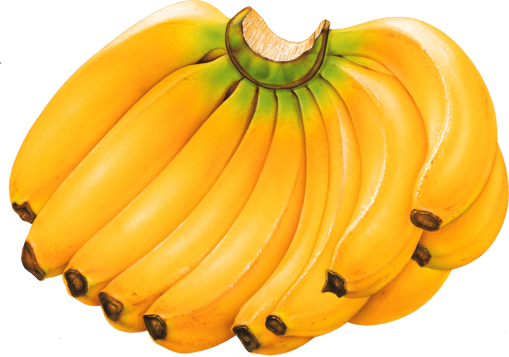 Banana Clipart Six - Banana Fruits (1024x719)