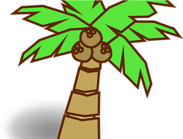 Transparent Cartoon Palm Tree - Clip Art (640x480)