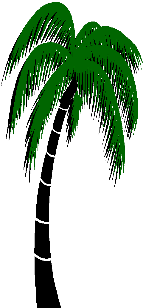Graphics For Palm Trees Animated Graphics - Animated Palm Tree Gif (480x1031)