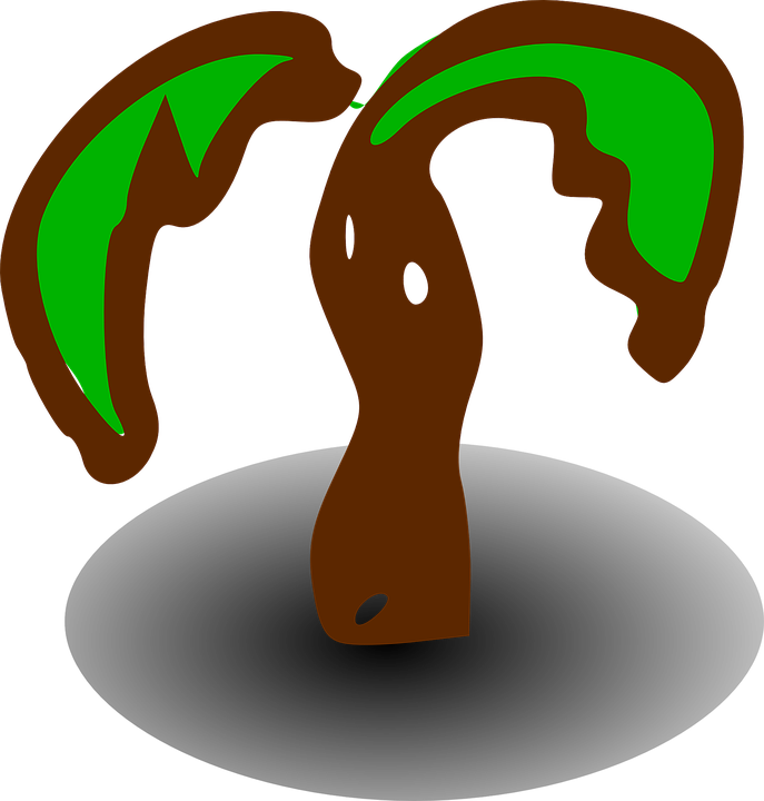 Transparent Cartoon Palm Tree 26, Buy Clip Art - Palm Tree Clip Art (1220x1280)