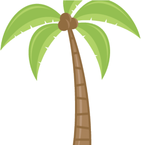 Transparent Cartoon Palm Tree - Clip Art (640x480)