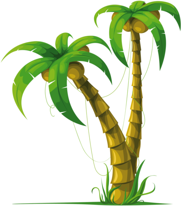 Arbre,png - Coconut Tree Vector (600x749)