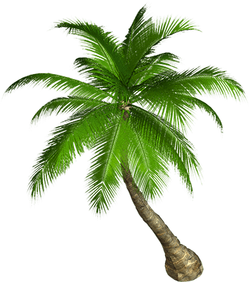 Cartoon Coconut Tree Png - Two Girls On A Mission (353x400)