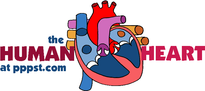 Human Heart - Heart Powerpoint (709x325)
