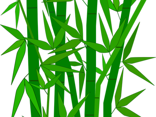 Green Leaves Clipart Bamboo Leave - Bamboo .svg (640x480)