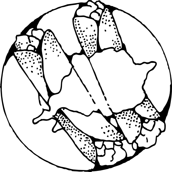 Free Vector Crepes Outline Clip Art - Black And White Crepe (594x597)