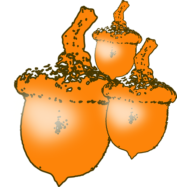 Fall Food Cliparts 12, Buy Clip Art - Nuts Animated (683x720)