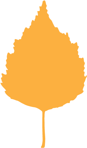 Birch Syrups - Birch Syrups (303x512)