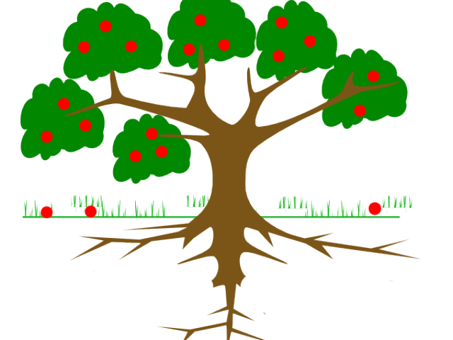 Roots Clipart Rooted Tree - Root Of A Tree Cartoon (640x480)