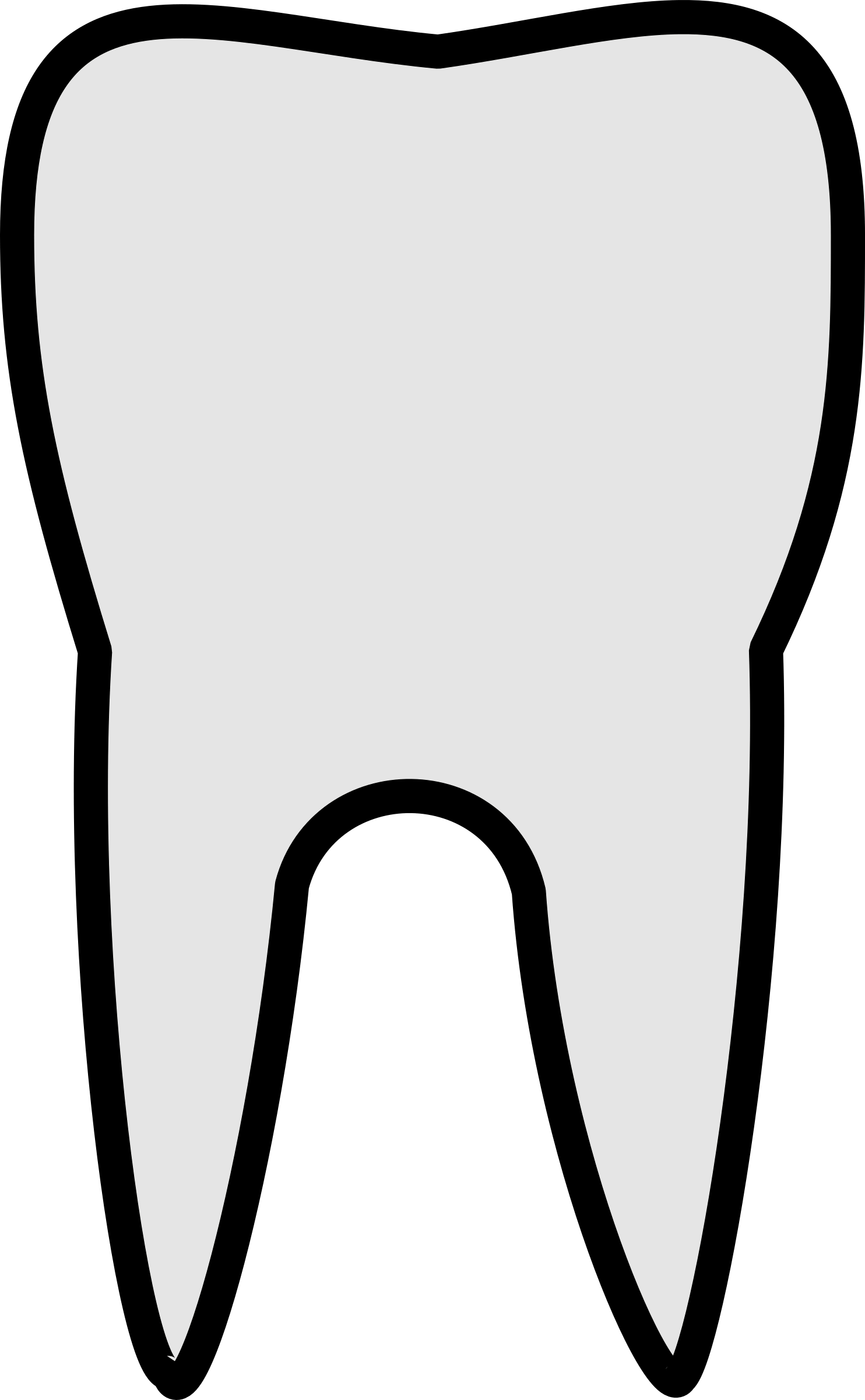 Tooth Outline Clipart - Teeth Clipart (1484x2400)