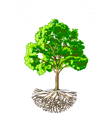 Water Cycles Through The Tree - Bankal National High School (480x432)