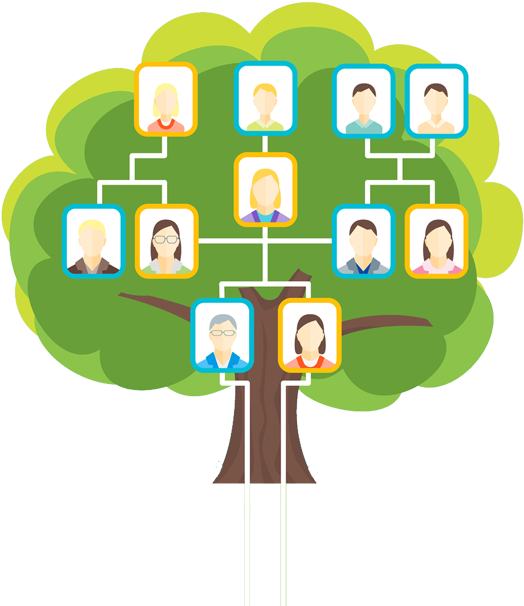 Start Your Journeydiscover Your Roots - Arbol Famailiar (577x650)