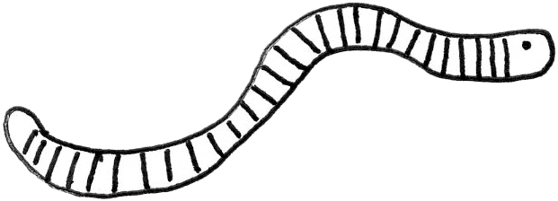 Illustration By Ben Olson - Line Art (647x258)