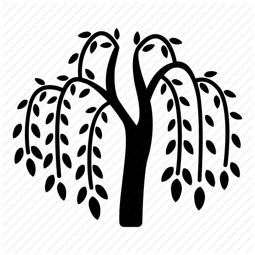 Branches, Fronds, River, Tree, Vegetation, Weeping, - Willow Tree Icon (512x512)