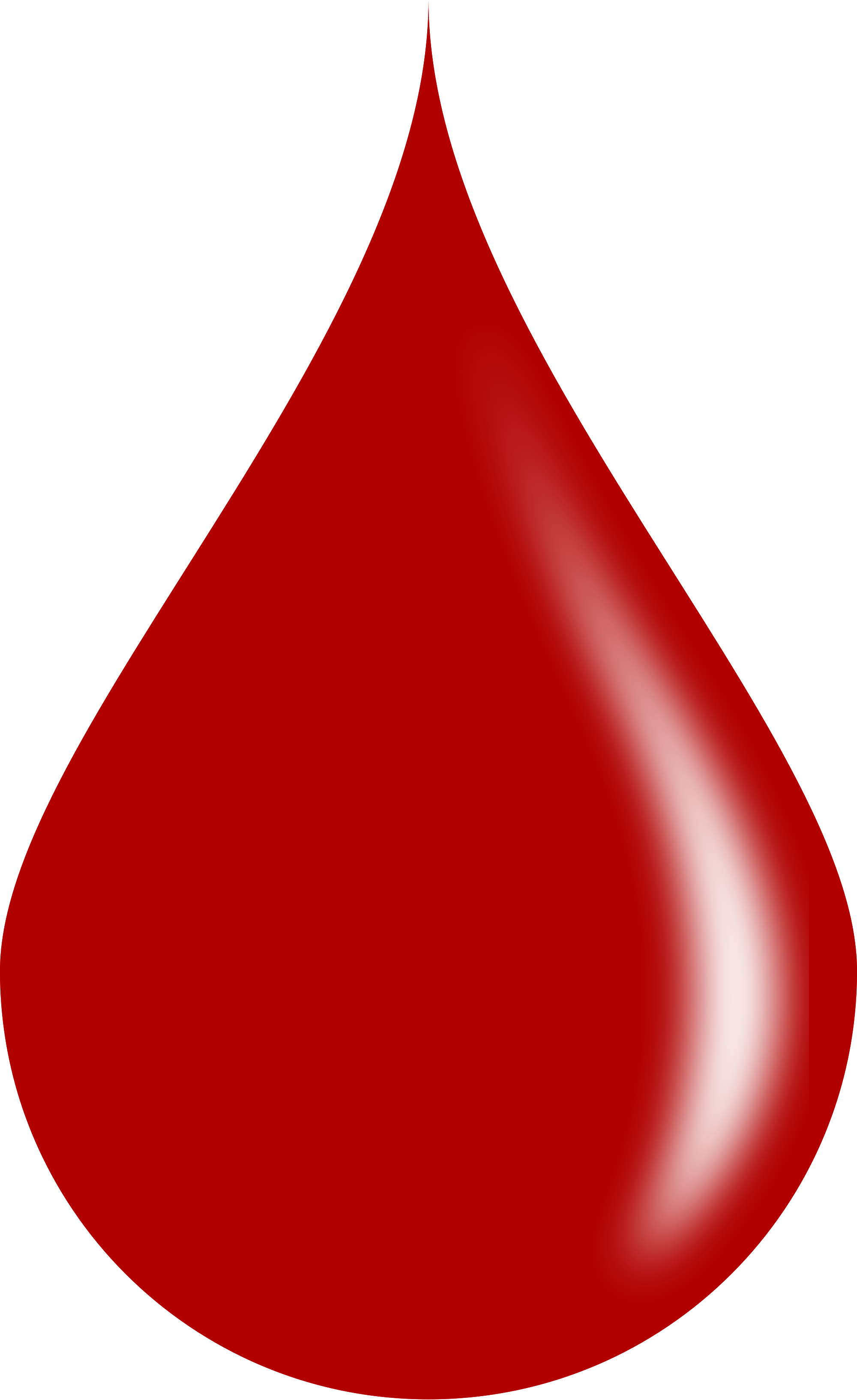 Blood Clipart Real - Blood Drop Vector Png (2000x3268)