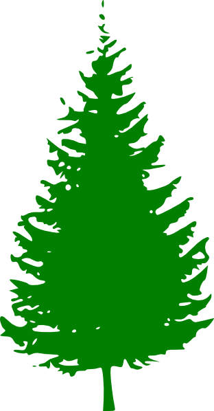 Pine Tree Clip Art Pine Tree Green Clip Art At Clker - Pine Tree Silhouette Vector (312x598)