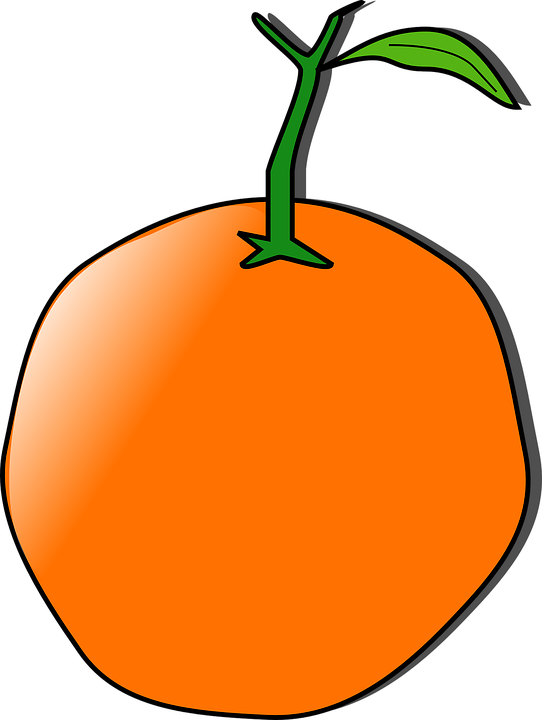 Orange Clipart Healthy Fruit - Custom Orange Shower Curtain (542x720)