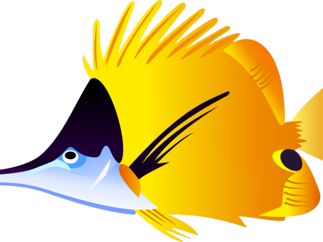 Pufferfish Clipart Colorful Tropical Fish - Colorful Fish Tile Coaster (640x480)