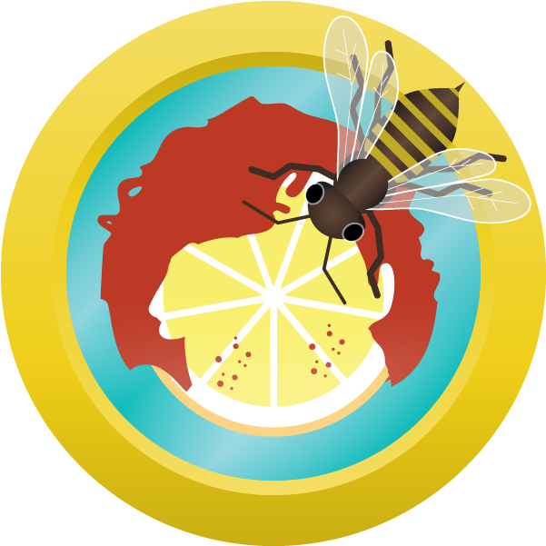 Ahs Lemongrass Ginger Ale - Ginger Ale (800x600)