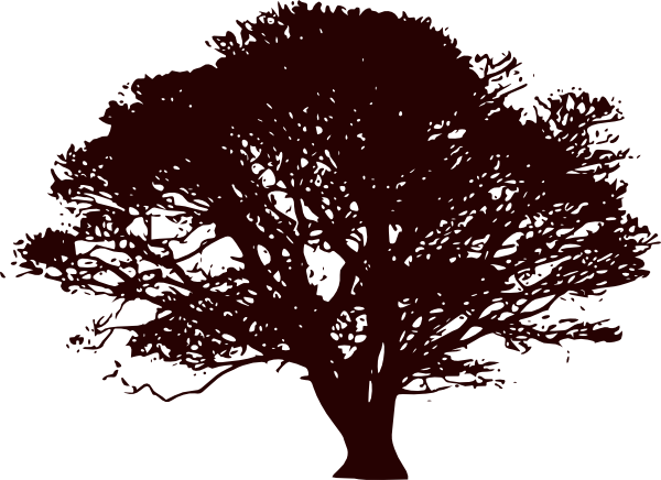 Dead Tree Clipart Wide Tree - Black And White Tree Clipart (600x436)