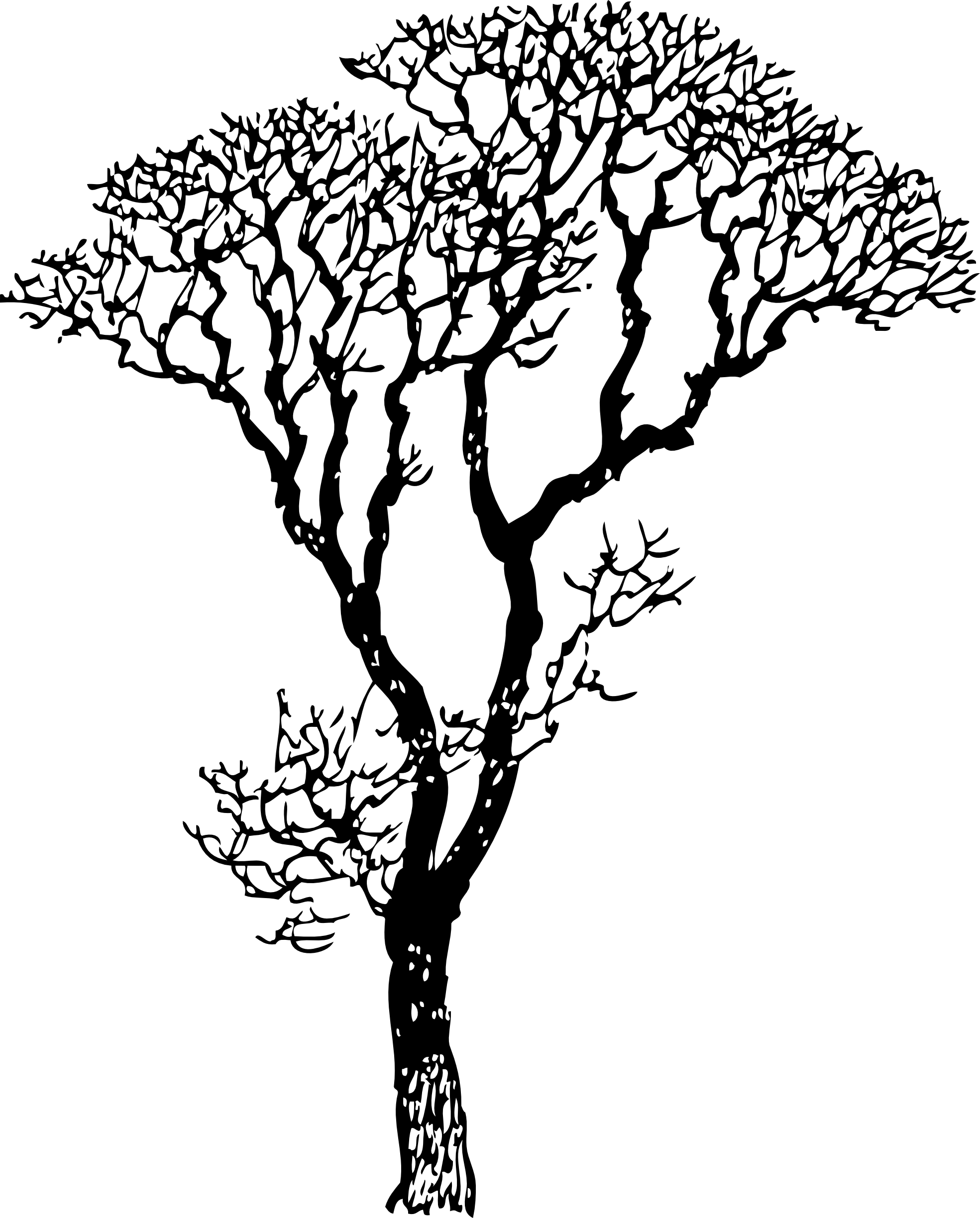 Baby Nursery ~ Captivating Tree Black And White Amazing - Mothers Day Quotes From Daughter Thank You (1969x2448)