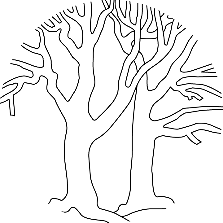 Bare Trees Outline - Coloring Book (720x720)