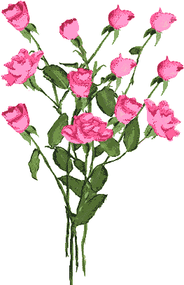 Pink Rose Clipart Animated Flower - I M Sorry With Flowers (312x417)