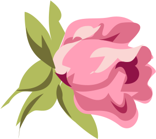Pink Roses Clipart - Vintage Pink Rose Vintage Pink Rose Ornament (oval) (333x408)