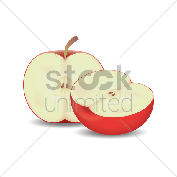 Apple Cut Into Half Vector Image - Applei Cut In Half Clipart (600x600)
