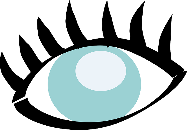 Part, Human, Body, Vision, Lids, Eyes, Lid - Vista Png (640x445)