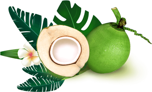 Always Refreshing More - น้ำ มะพร้าว ปั่น นม สด (500x380)