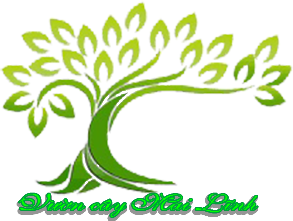 Cây Cảnh Đẹp Hà Nội Chuyên Cung Cấp Dịch Vụ Cây Trồng - Donegan's Tree Service (1000x751)