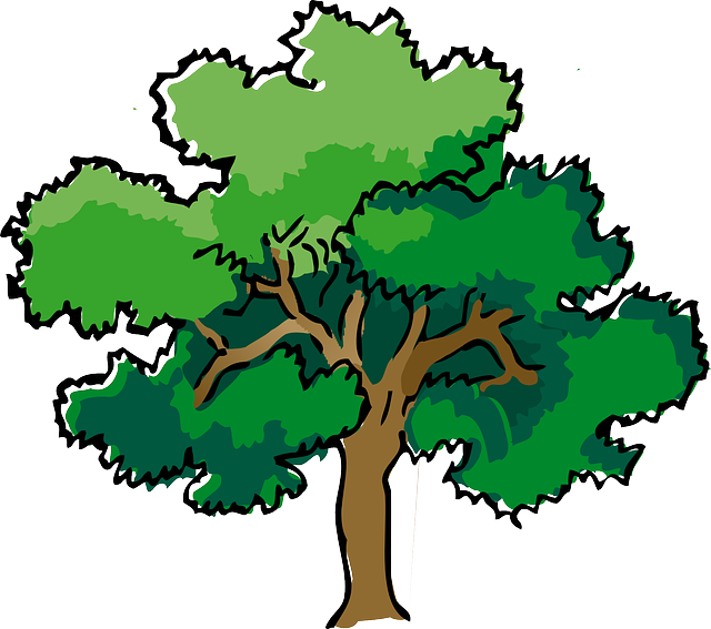 Oak, Tree, Summer, Branches, Leaves, Trunk, Mature - Oak Tree Clipart (640x567)