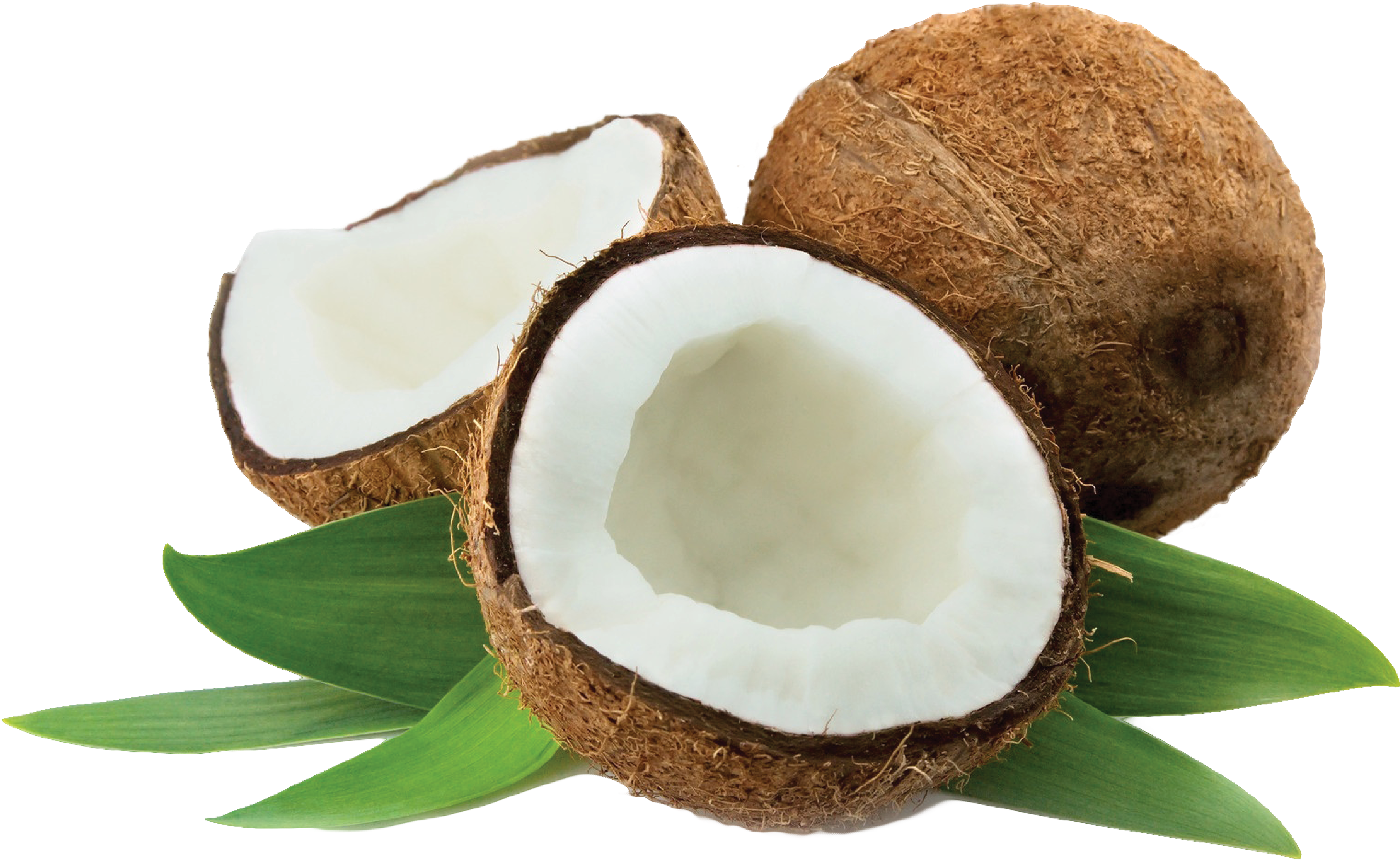 Trong Dầu Dừa Có Vitamin E Tự Nhiên, Không Bị Oxi Hoá - Trong Dầu Dừa Có Vitamin E Tự Nhiên, Không Bị Oxi Hoá (2336x1546)