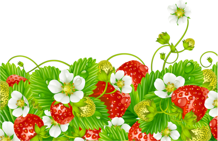Поиск Похожих Картинок - Background Fruits Clipart (700x453)
