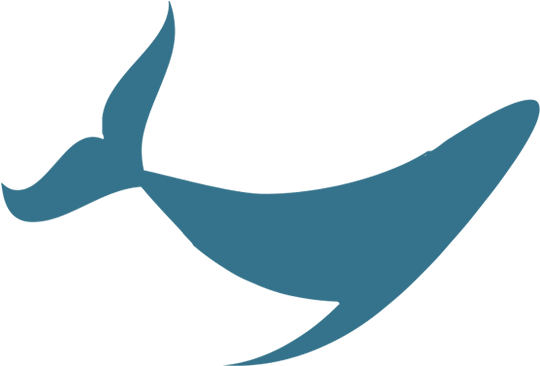 Whale - Cetacea (800x382)